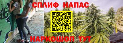 прущие грибы Лесосибирск