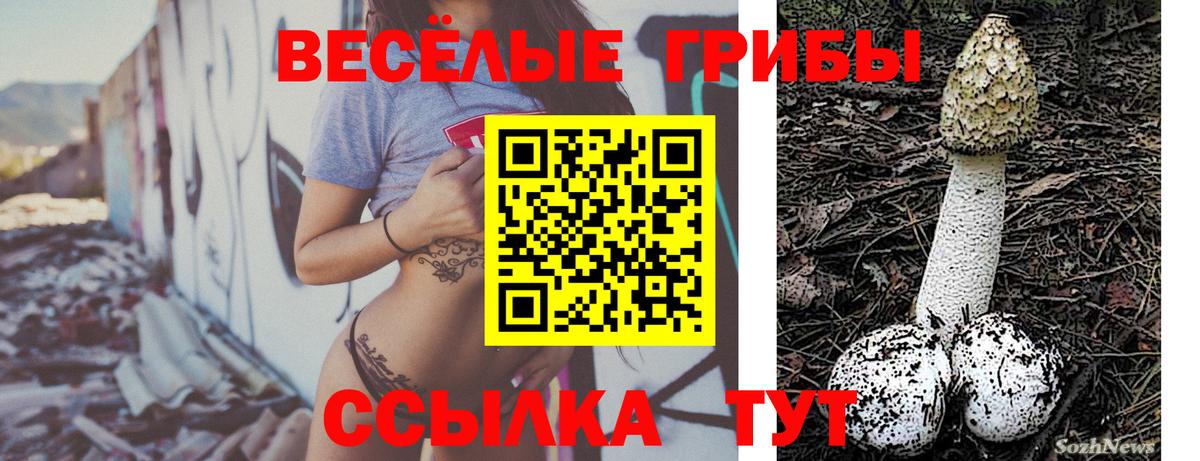 Псилоцибиновые грибы Psilocybine cubensis Еманжелинск